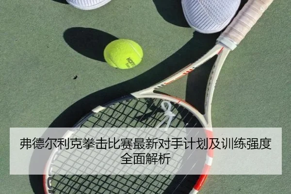 弗德尔利克拳击比赛最新对手计划及训练强度全面解析 - LEYU SPORTS